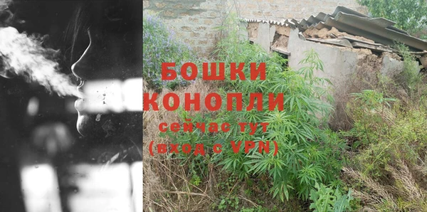прущие крисы Аркадак