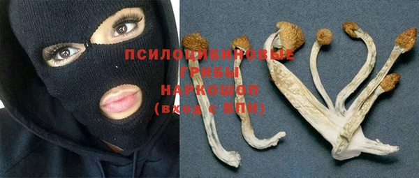 сатива Арсеньев