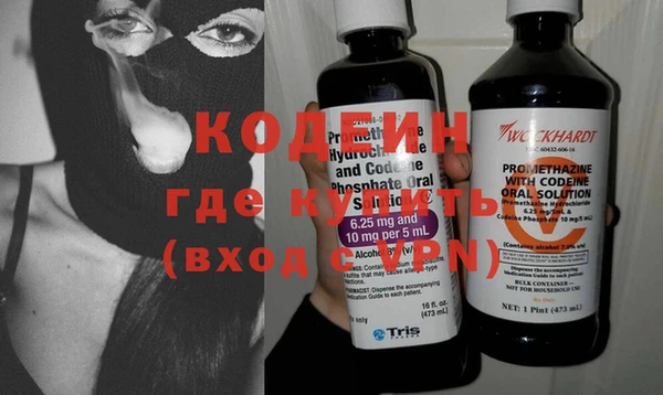 сатива Арсеньев