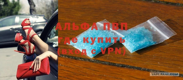 сатива Арсеньев