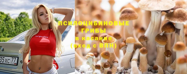 гашик Армянск