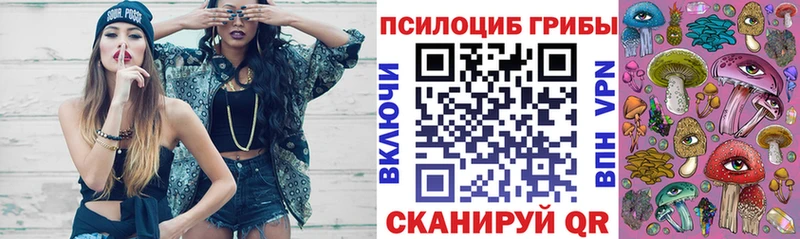 Галлюциногенные грибы Psilocybe  Сретенск 